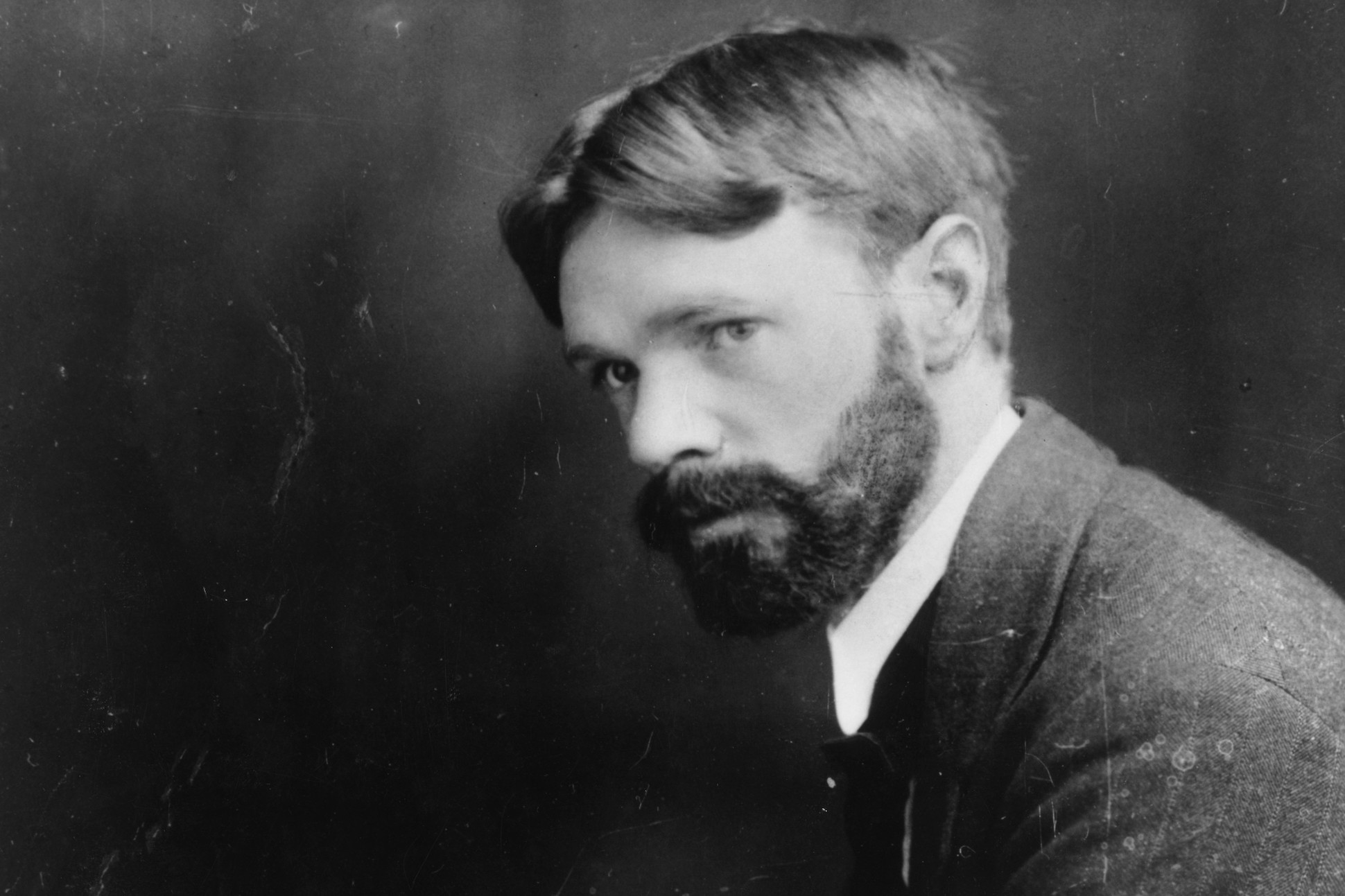 D. H. Lawrence.
